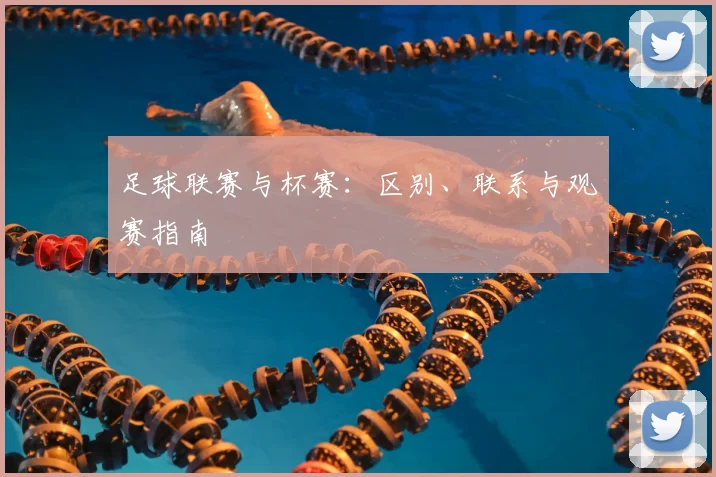 足球联赛与杯赛：区别、联系与观赛指南