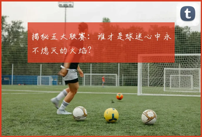 揭秘五大联赛:谁才是球迷心中永不熄灭的火焰?